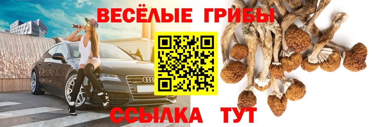 Псилоцибиновые грибы прущие грибы  Галлюциногенные грибы Psilocybine cubensis  Железногорск  Вход с VPN 